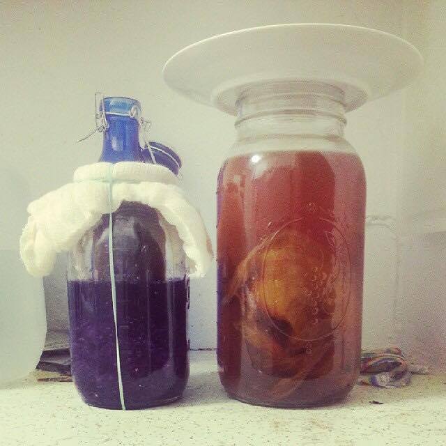 Two mason jars on a counter top with things fermenting inside them